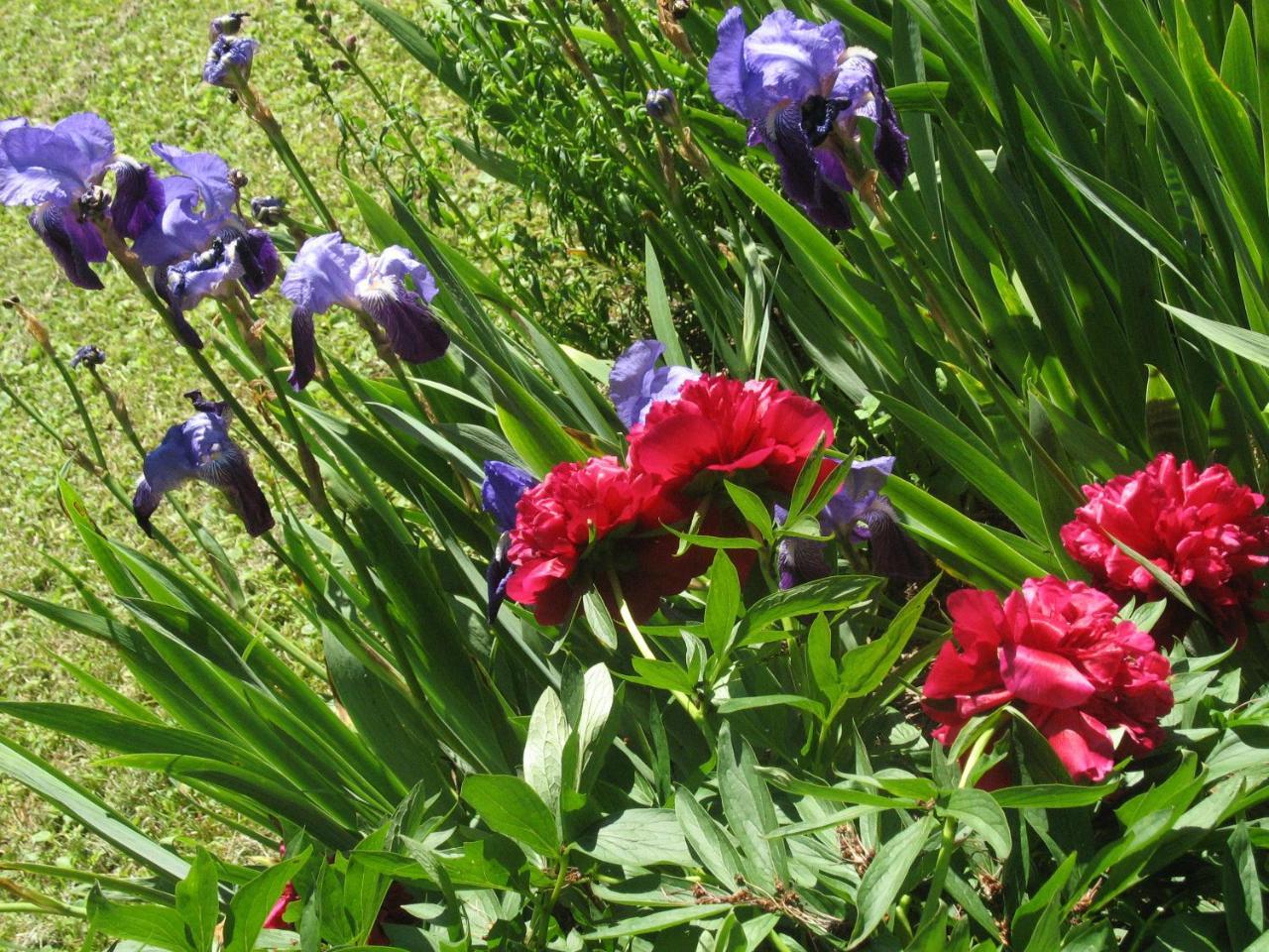 Bed and Breakfast Les Jardins De La Grange Rezonville Exterior foto